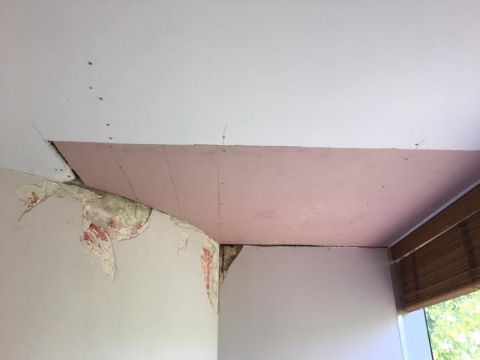 During | CEILING AND WALL REPAIRS (1)