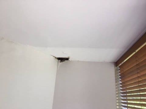 gallery/ceilingandwall/1